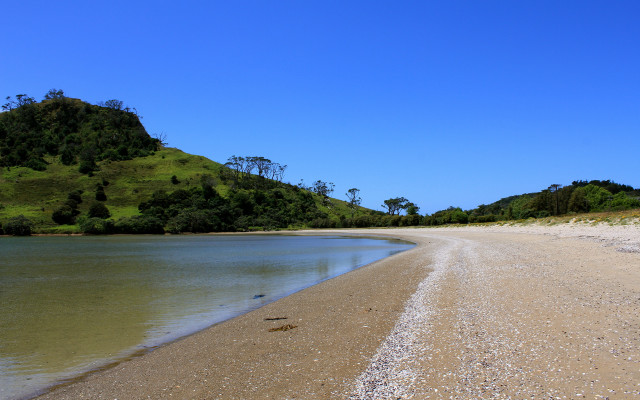 Sandy beach hill water bird free wallpaper for desktop - medium preview image