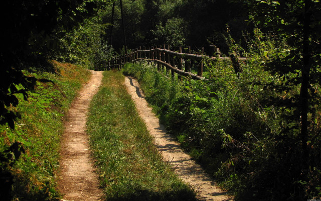 Dirt path wooden bridge forest free wallpaper for desktop - medium preview image