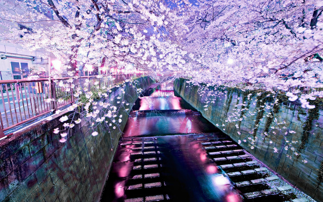 River flowers bridge petals impressionist free wallpaper for desktop - medium preview image