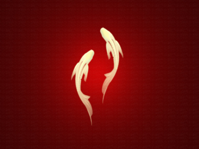 Red background white fish side free wallpaper for desktop - medium preview image