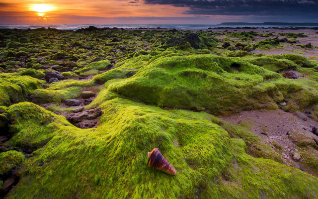 Moss field sunset cloud nature free wallpaper for desktop - medium preview image