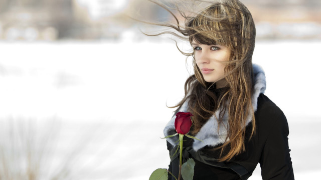 Woman rose fur collar snowy free wallpaper for desktop - medium preview image