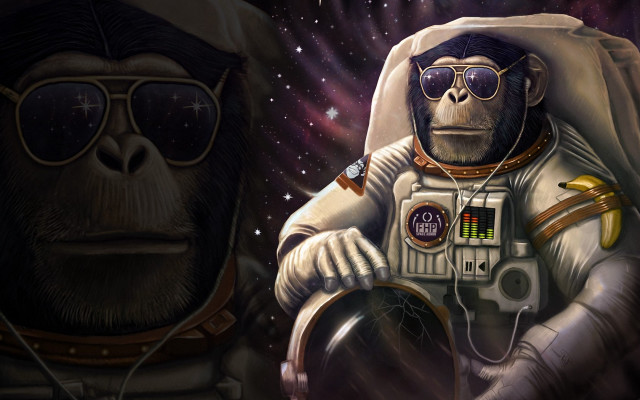 Monkey space suit sunglasses astronaut #2 free wallpaper for desktop - medium preview image
