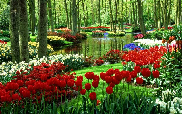 Garden pond flowers trees people free wallpaper for desktop - medium preview image
