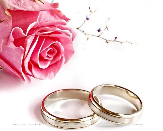 Wedding rings rose flower background free wallpaper for desktop - medium preview image
