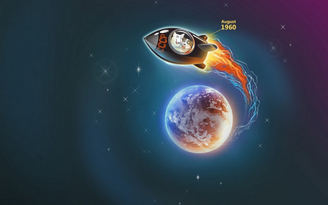 Space shuttle earth rocket star free wallpaper for desktop - medium preview image