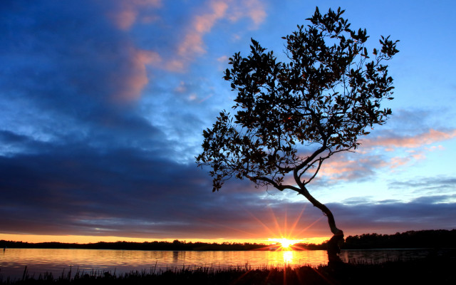 Sunset lake tree silhouette clouds free wallpaper for desktop - medium preview image
