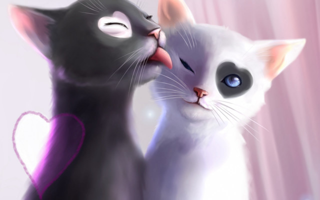 Black white cats heart closed free wallpaper for desktop - medium preview image
