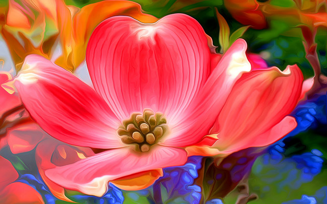 Pink flower green leaves blue free wallpaper for desktop - medium preview image