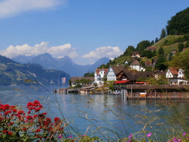 Lake shore houses mountains flowers free wallpaper for desktop - medium preview image