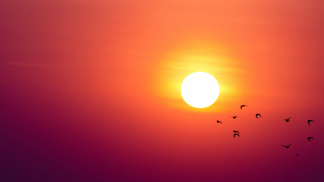 Birds sunset moon sky orange free wallpaper for desktop - medium preview image