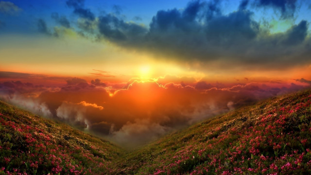 Sunset grassy hill flowers clouds free wallpaper for desktop - medium preview image