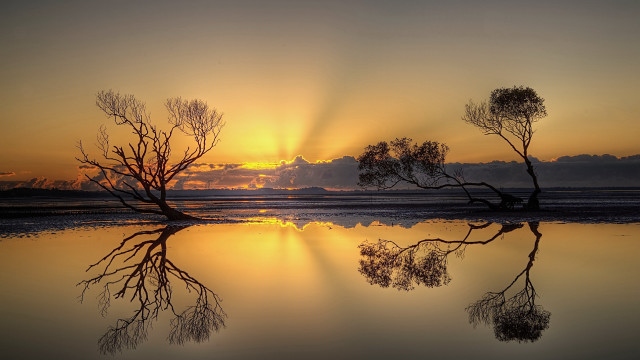 Sunset trees water clouds reflections free wallpaper for desktop - medium preview image