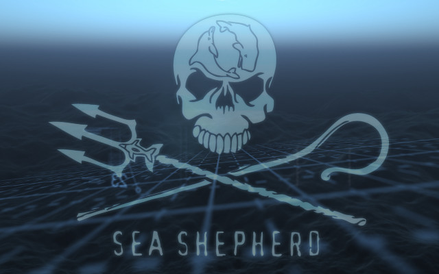 Skull arrows sea shepherd blue free wallpaper for desktop - medium preview image