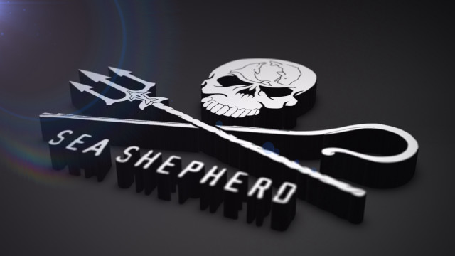 Sea shepherd logo skull arrow free wallpaper for desktop - medium preview image