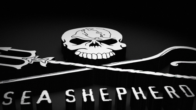 Skull crossed swords sea shepherd free wallpaper for desktop - medium preview image