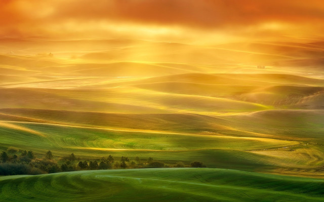 Green field trees sunset clouds free wallpaper for desktop - medium preview image