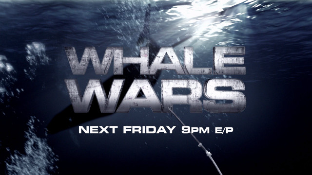Shark whale wars poster next free wallpaper for desktop - medium preview image