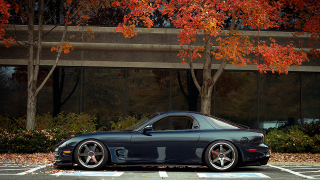 Black sports car autumn leaves #2 free wallpaper for desktop - medium preview image