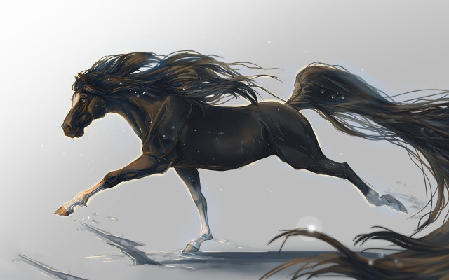Horse longhair running field snow free wallpaper for desktop - medium preview image