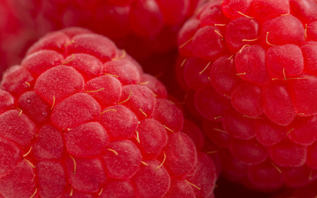 Raspberries water droplets yellow tip free wallpaper for desktop - medium preview image