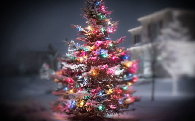 Christmas tree city street bokeh free wallpaper for desktop - medium preview image