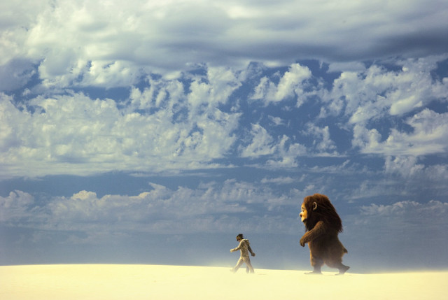 Man desert animal cloudy walking free wallpaper for desktop - medium preview image