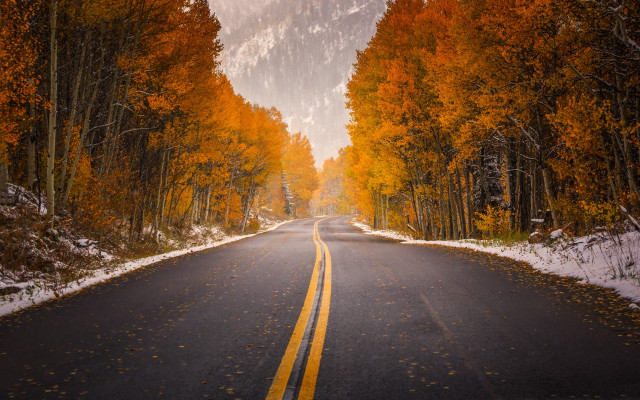 Autumn road trees leaves fireworks free wallpaper for desktop - medium preview image