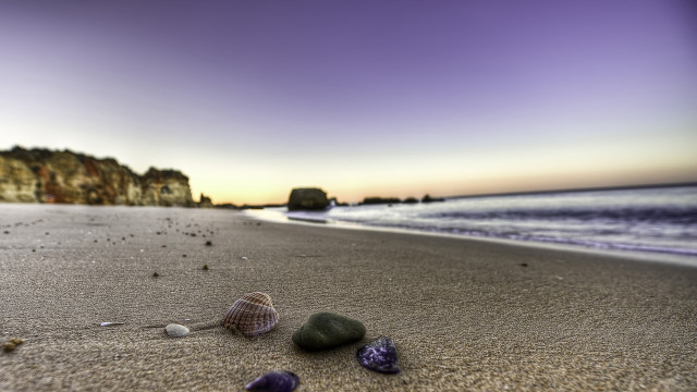 Beach rocks shells cliff purple free wallpaper for desktop - medium preview image