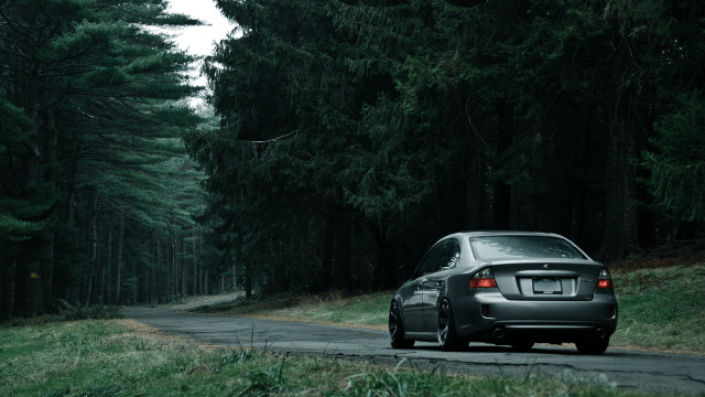 Car woods road tiltshift nature free wallpaper for desktop - medium preview image