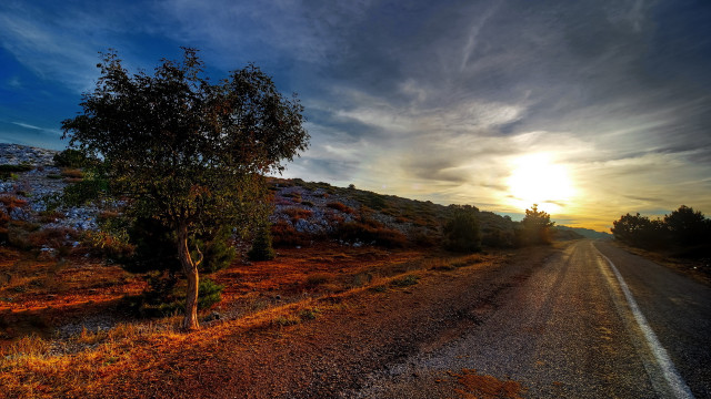 Sunset road tree city lake free wallpaper for desktop - medium preview image