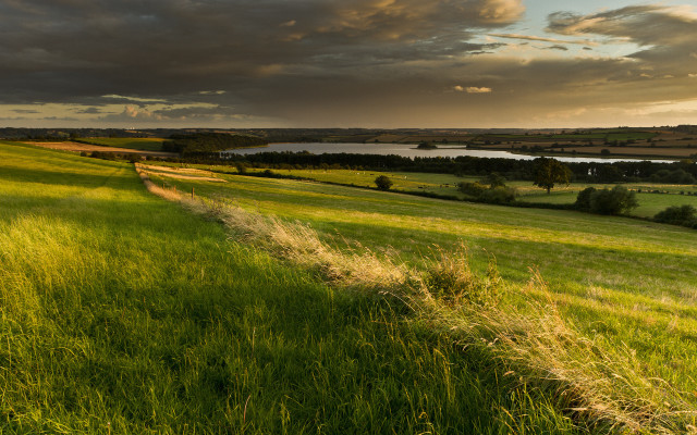 Grassy field river clouds evening free wallpaper for desktop - medium preview image