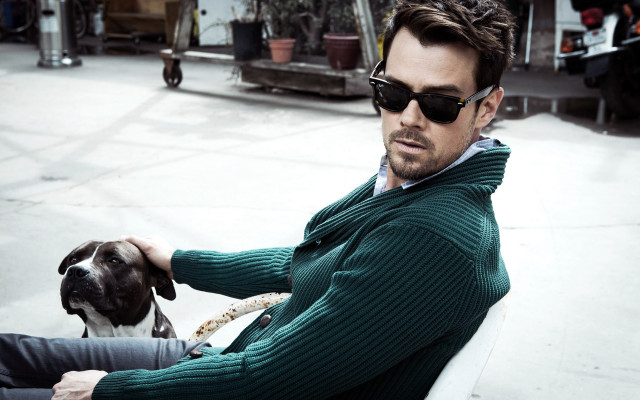 Man dog sunglasses green sweater #2 free wallpaper for desktop - medium preview image