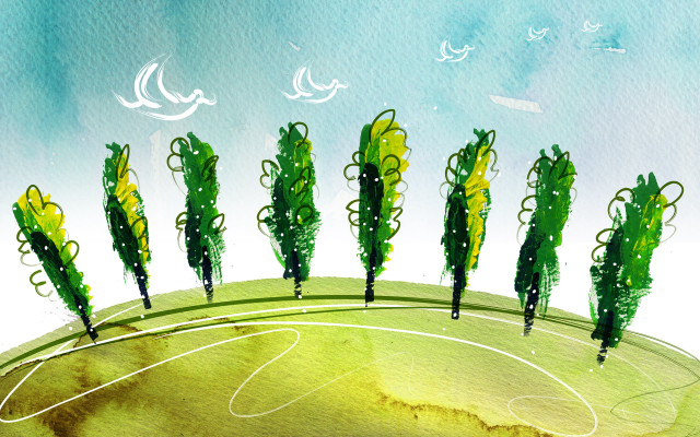 Soccer field trees birds environmental free wallpaper for desktop - medium preview image