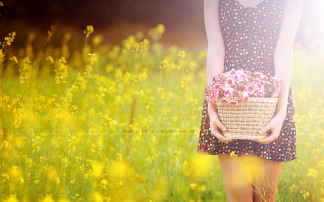 Woman dress basket flowers field free wallpaper for desktop - medium preview image