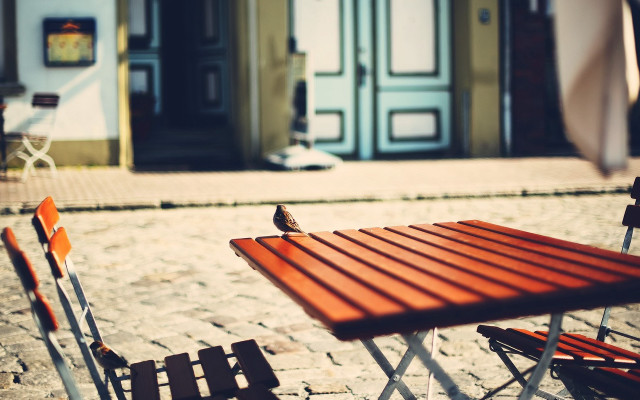 Bird table outdoor chairs umbrella free wallpaper for desktop - medium preview image