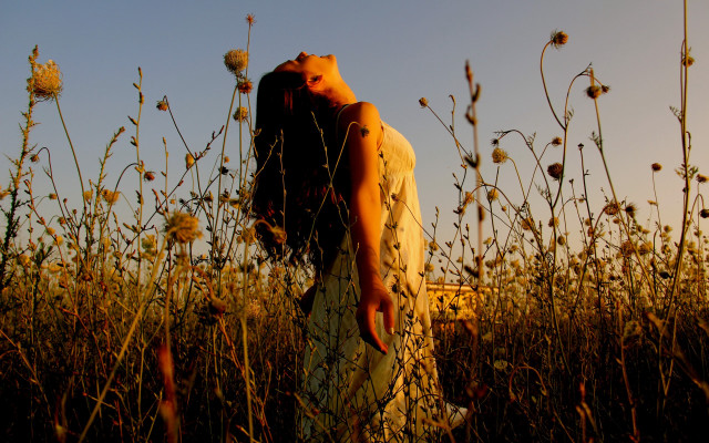 Woman field hands closed autumn free wallpaper for desktop - medium preview image