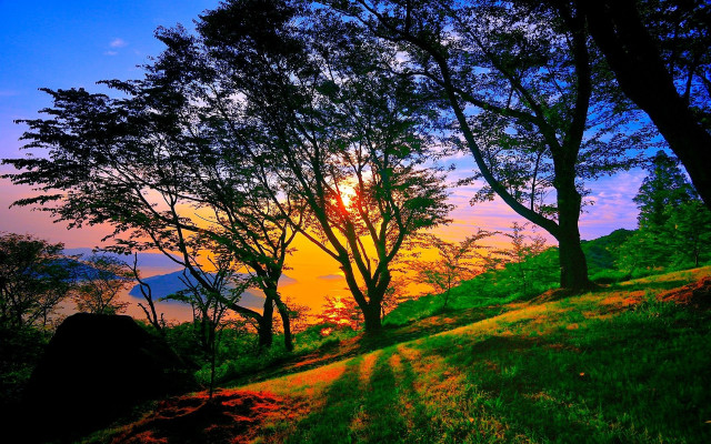 Sunset grassy hill trees water free wallpaper for desktop - medium preview image