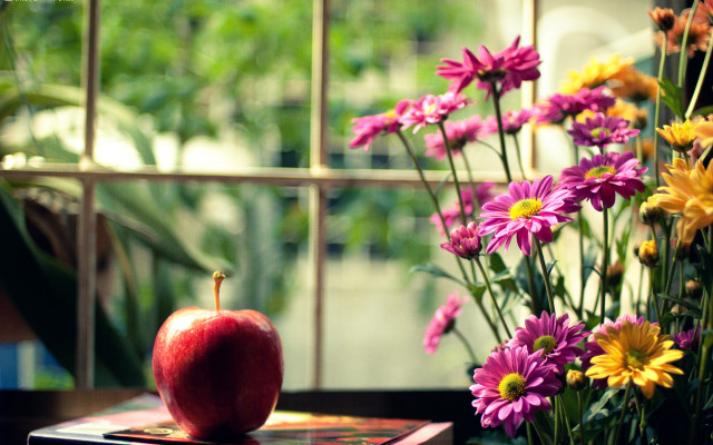 Red apple book vase flowers free wallpaper for desktop - medium preview image