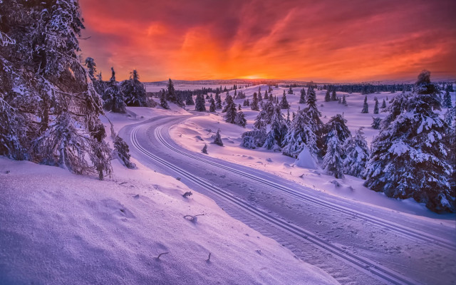 Snowy forest road sunset mountain free wallpaper for desktop - medium preview image