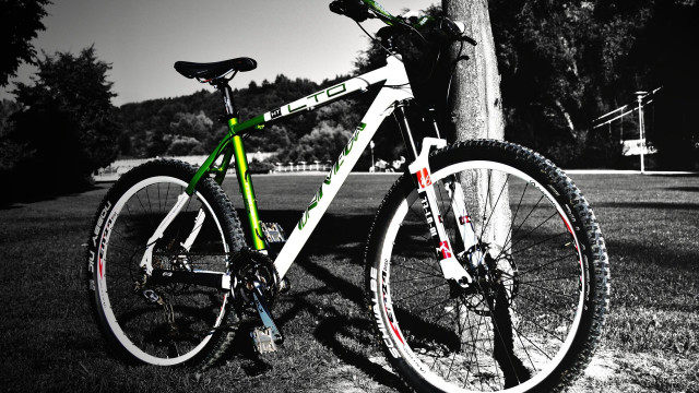 Bike tree park bench telephone free wallpaper for desktop - medium preview image