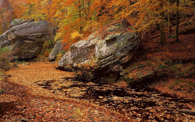 Woods rock formation autumn leaves free wallpaper for desktop - medium preview image