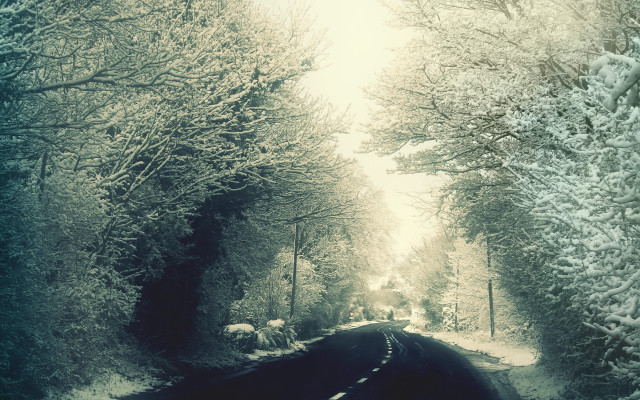 Snowy road car winter forest free wallpaper for desktop - medium preview image