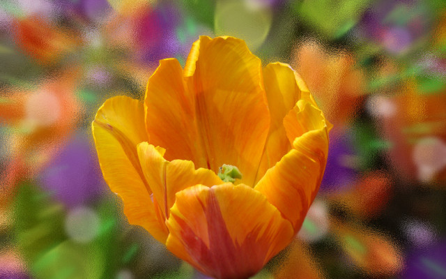 Flower impressionism bokeh orange digital free wallpaper for desktop - medium preview image