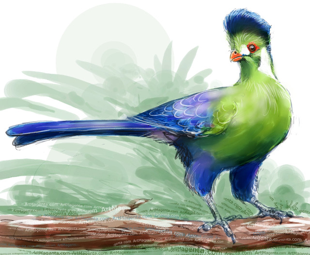 Colorful bird blue head tail free wallpaper for desktop - medium preview image