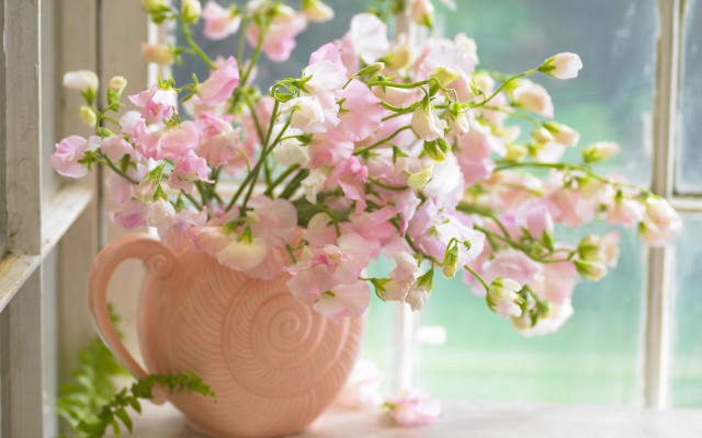 Pink vase flower still life free wallpaper for desktop - medium preview image