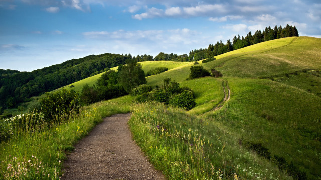 Dirt path green hillside trees free wallpaper for desktop - medium preview image