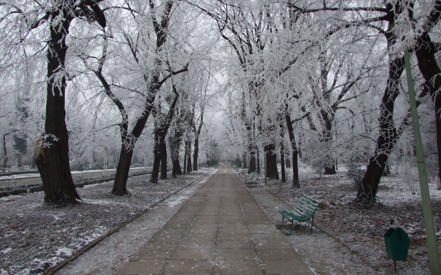 Snowy park walkway bench trees free wallpaper for desktop - medium preview image