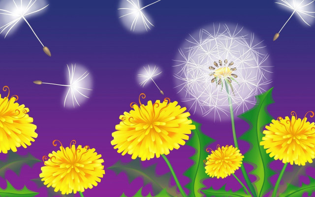 Dandelion seeds purple sky summer free wallpaper for desktop - medium preview image