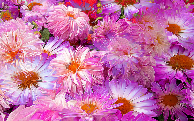 Pink flower blooming digital painting free wallpaper for desktop - medium preview image